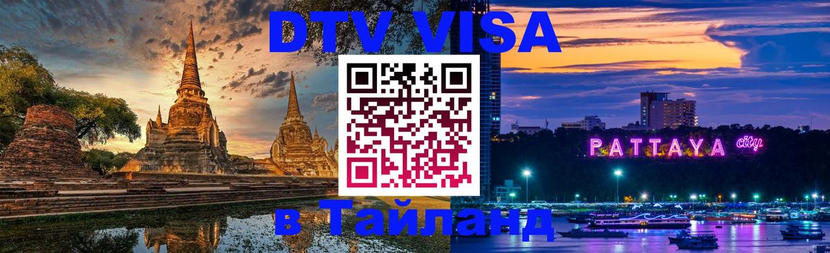 Оформление DTV визы под ключ: стоимость и тарифы, только загранпаспорт - 